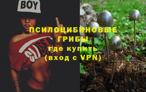 a pvp Нея