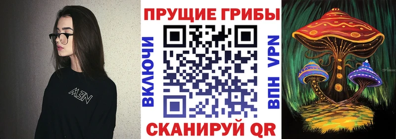 что такое   Ржев  Галлюциногенные грибы MAGIC MUSHROOMS 