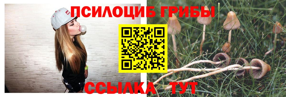 Ржев  Галлюциногенные грибы Psilocybine cubensis  Псилоцибиновые грибы MAGIC MUSHROOMS  Вход с VPN 