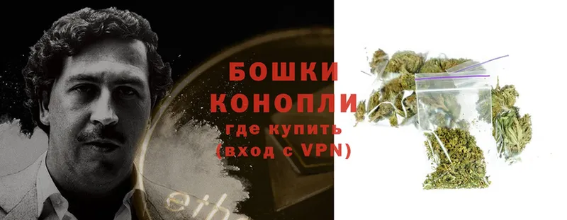 Бошки марихуана White Widow  как найти закладки  Ржев 